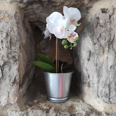 Lägenhet La Casita Del Abuelo