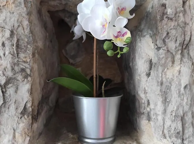 Appartement La Casita Del Abuelo